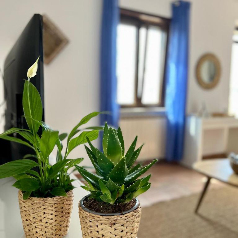 Sea Breeze House - Appartamento con 2 Camere da Letto - 5