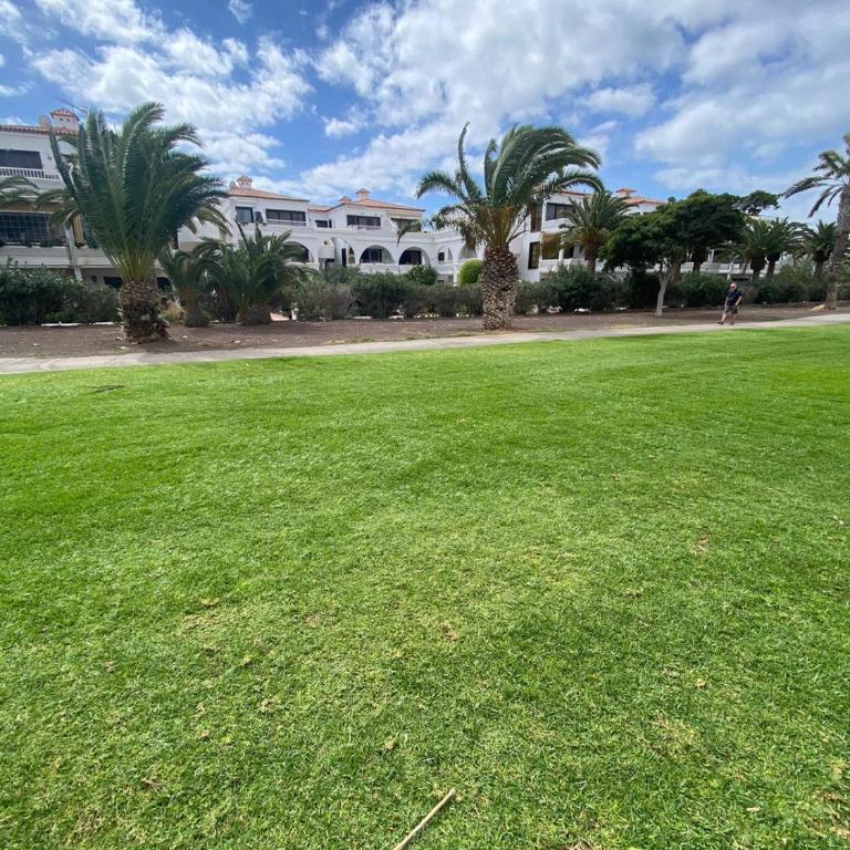 Beautiful Apto Amarilla Golf By Paramount Holidays - Apartamento - 29