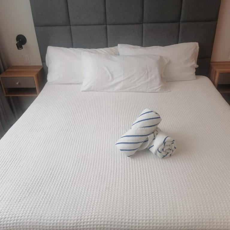 Increíble estudio con alberca infinita - Apartamento de 1 dormitorio - 7