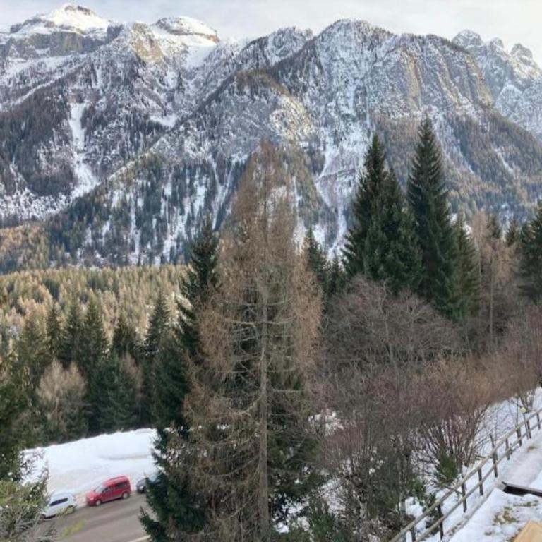 Residence “I Larici” Folgarida - One-Bedroom Apartment - 18