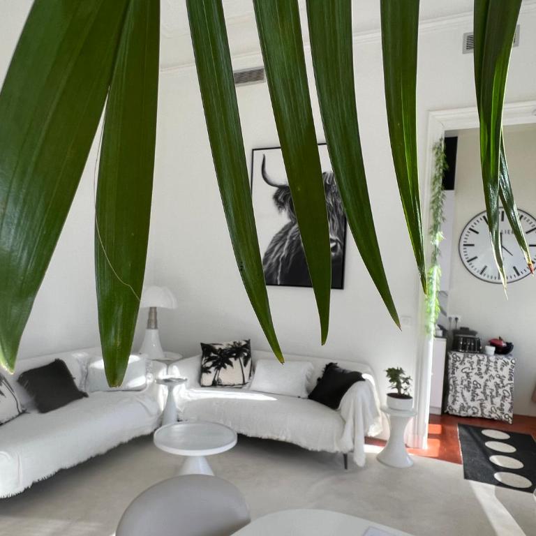 Deux Pièces Luxe - Le Casanova - Appartement 1 Chambre - 14