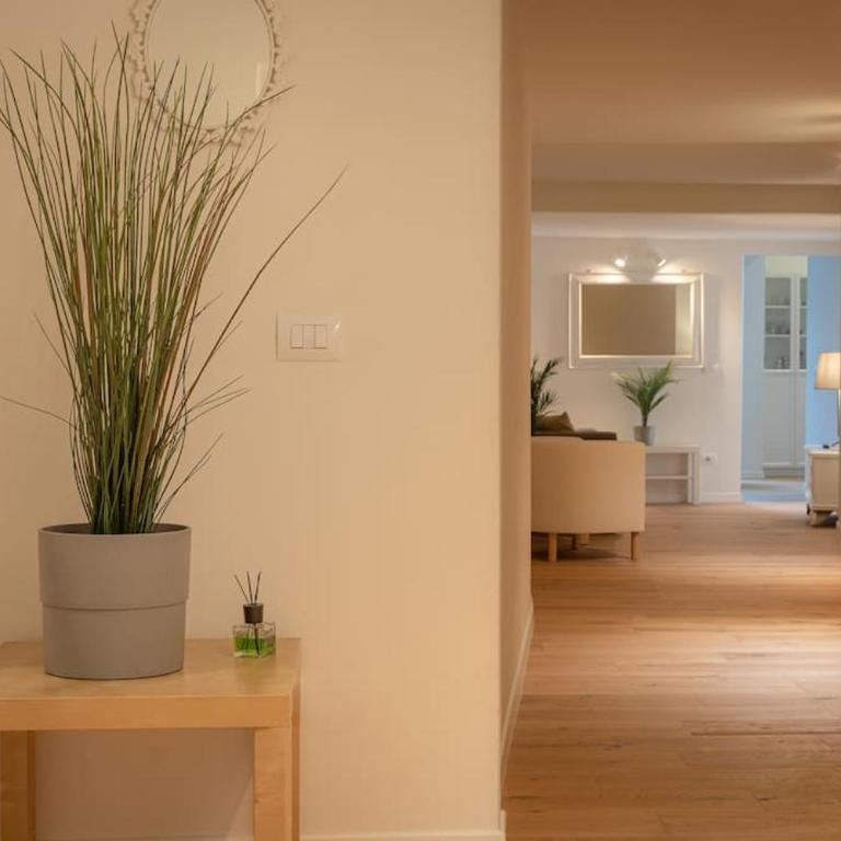 Borgo Pinti's Duplex Apartment - Appartamento con 3 Camere da Letto - 19