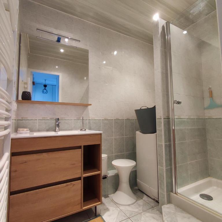 studio meublé classé 2 étoiles - 30m² - Appartamento Monolocale - 11