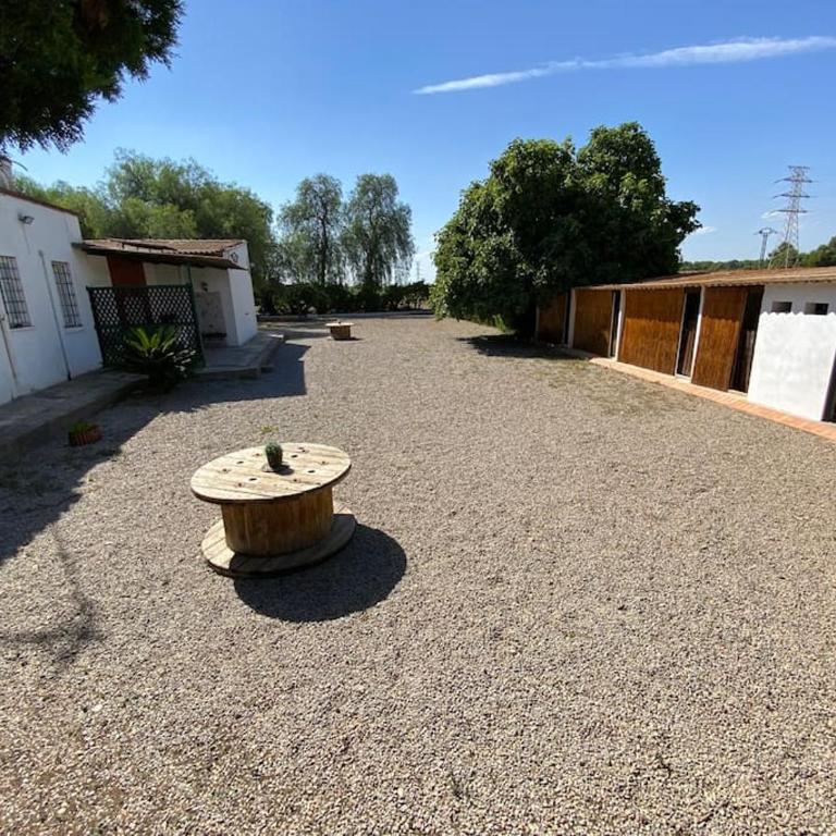 Huerto Valenciano - Sol y Tranquilidad - Piscina - Five-Bedroom House - 42