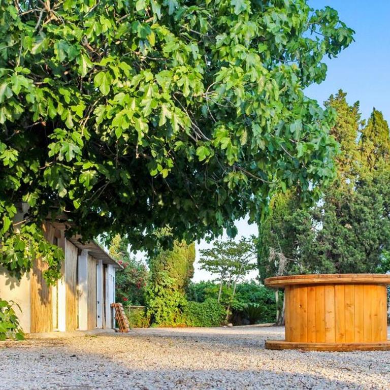 Huerto Valenciano - Sol y Tranquilidad - Piscina - Five-Bedroom House - 43