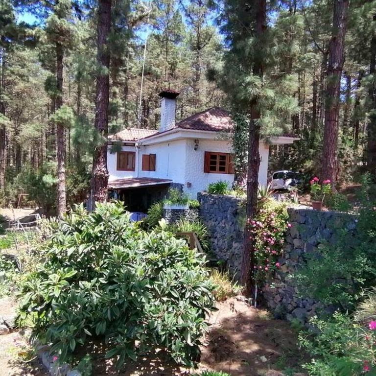 Floral garden house - Casa de 2 dormitorios - 13