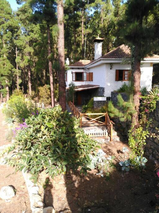 Floral garden house - Casa de 2 dormitorios - 23