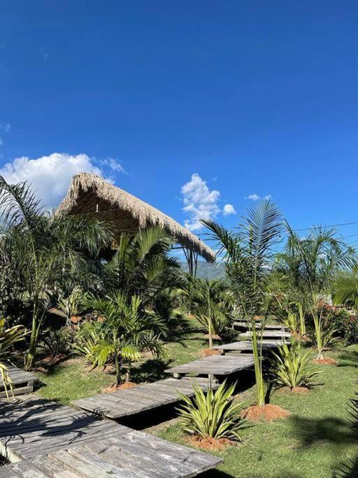 finca playa seca - Villa de 3 dormitorios - 39
