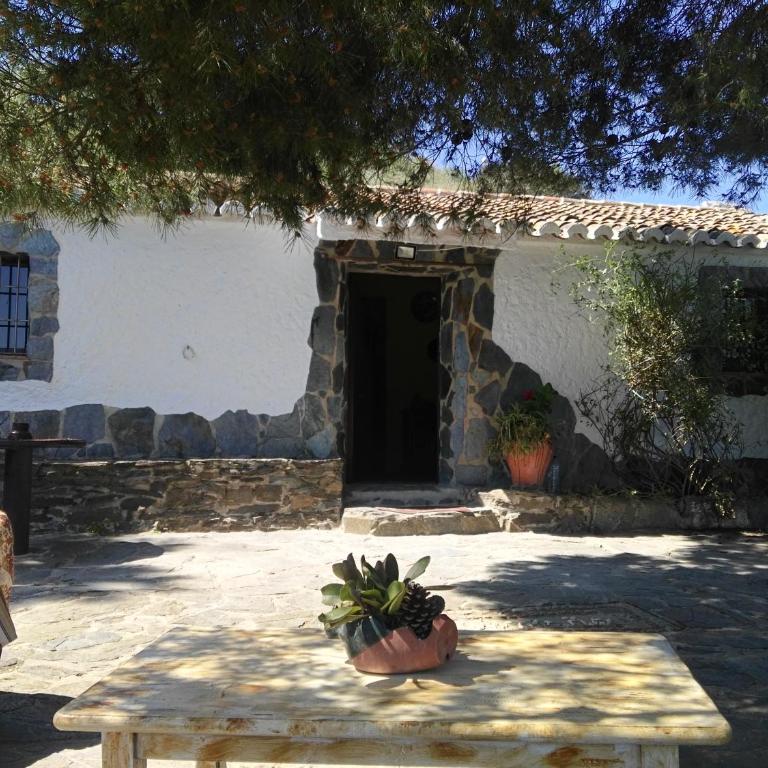 Pinar El Almendra - Casa de 3 dormitorios - 3