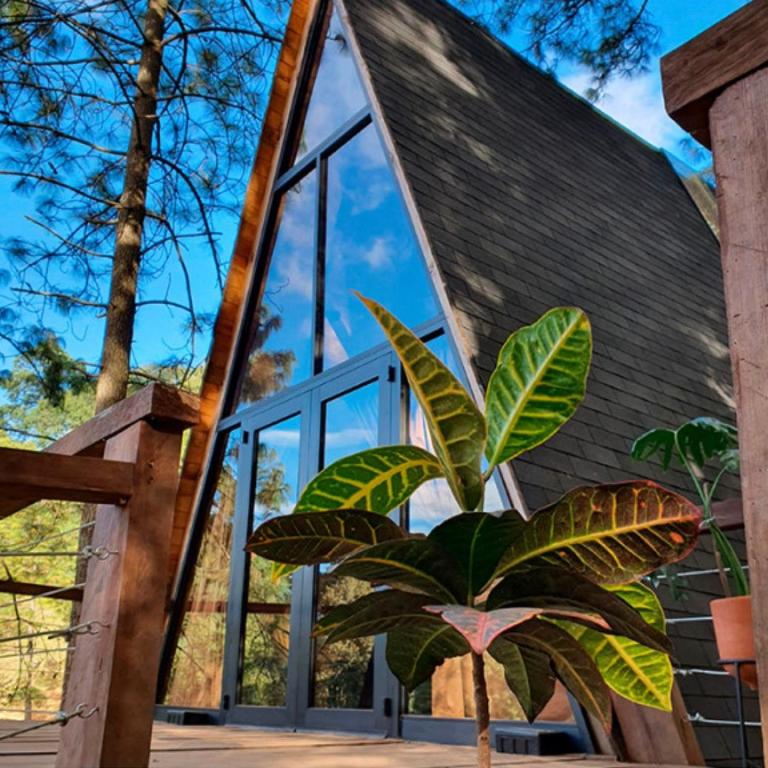 Hotel Sierra Tigre - Chalet - 6