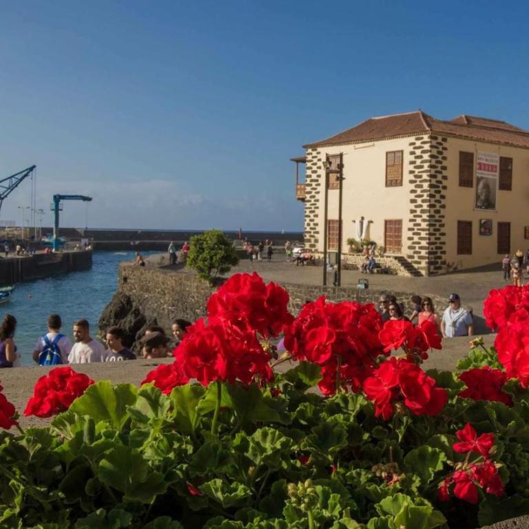 Prime Homes Muelle Studio - Apartamento Estudio - 1