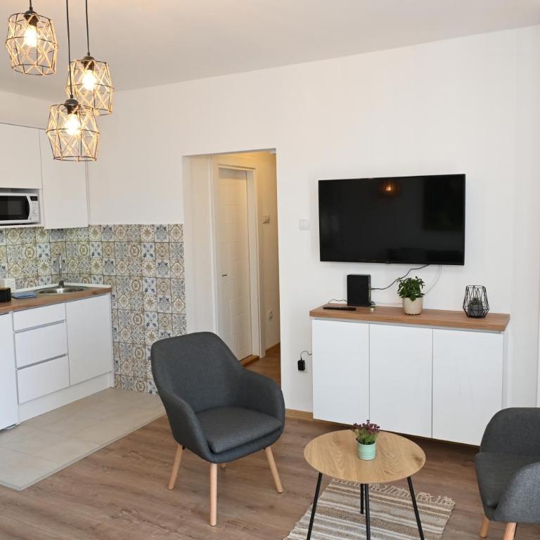 Apartman Krinka - Apartman sa 1 Spavaćom Sobom - 4