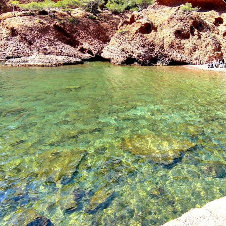 Entre Port historique et Calanques - Apartment mit 1 Schlafzimmer - 13
