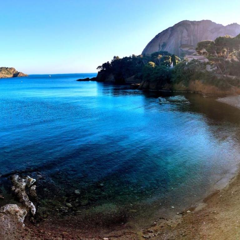 Entre Port historique et Calanques - Apartment mit 1 Schlafzimmer - 14