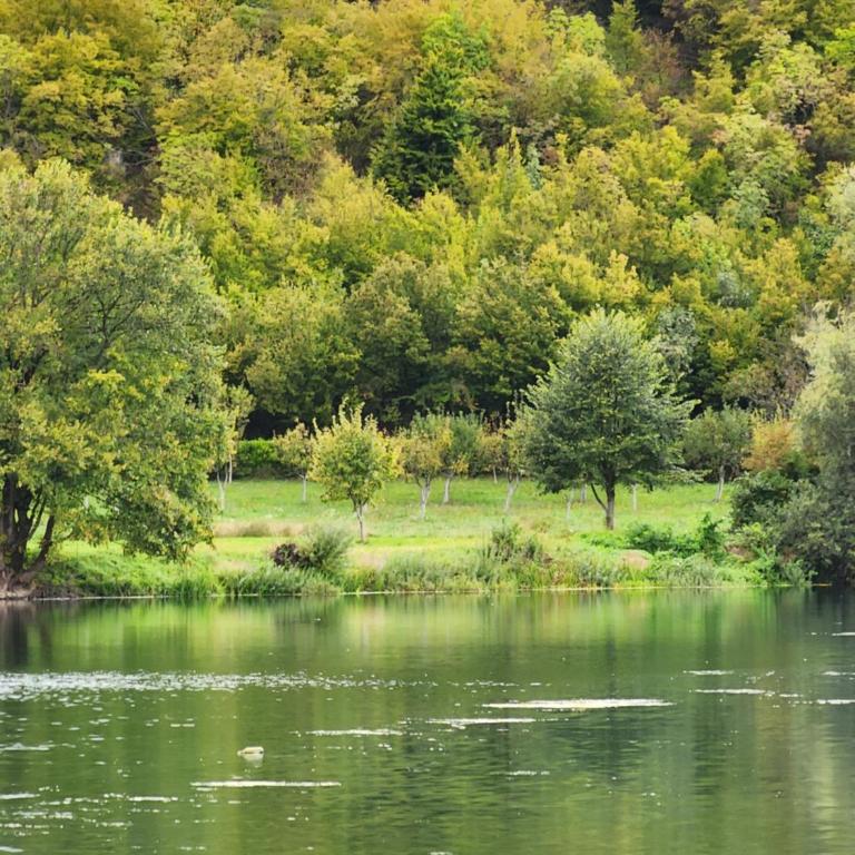 River Homes Bihac - Villa - 6