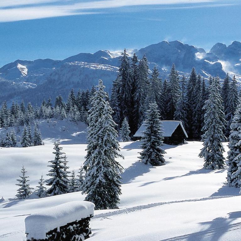Villa Edelweiss - 3 to 6 Guests - private use of indoor pool, sauna and garden terrace - Apartment mit 2 Schlafzimmern - 45