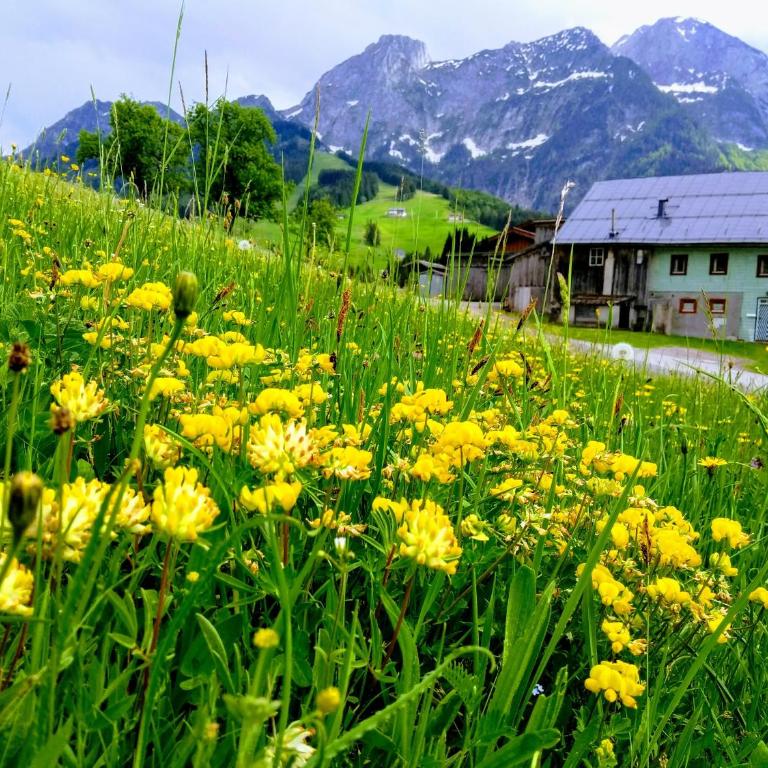 Villa Edelweiss - 3 to 6 Guests - private use of indoor pool, sauna and garden terrace - Apartment mit 2 Schlafzimmern - 17