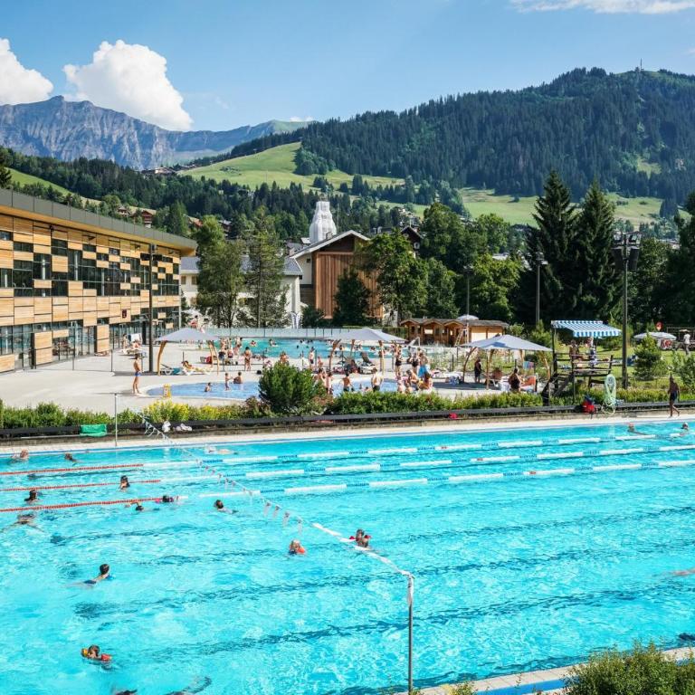 Luxury Wood Megeve village - Appartement Deluxe - 43