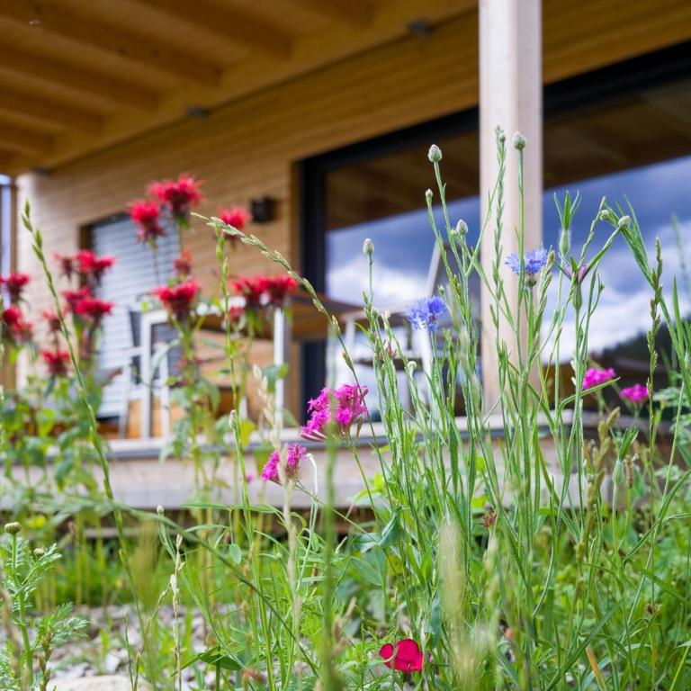 Wiesenquartier I Chalet I Adults only - Chalet - 30