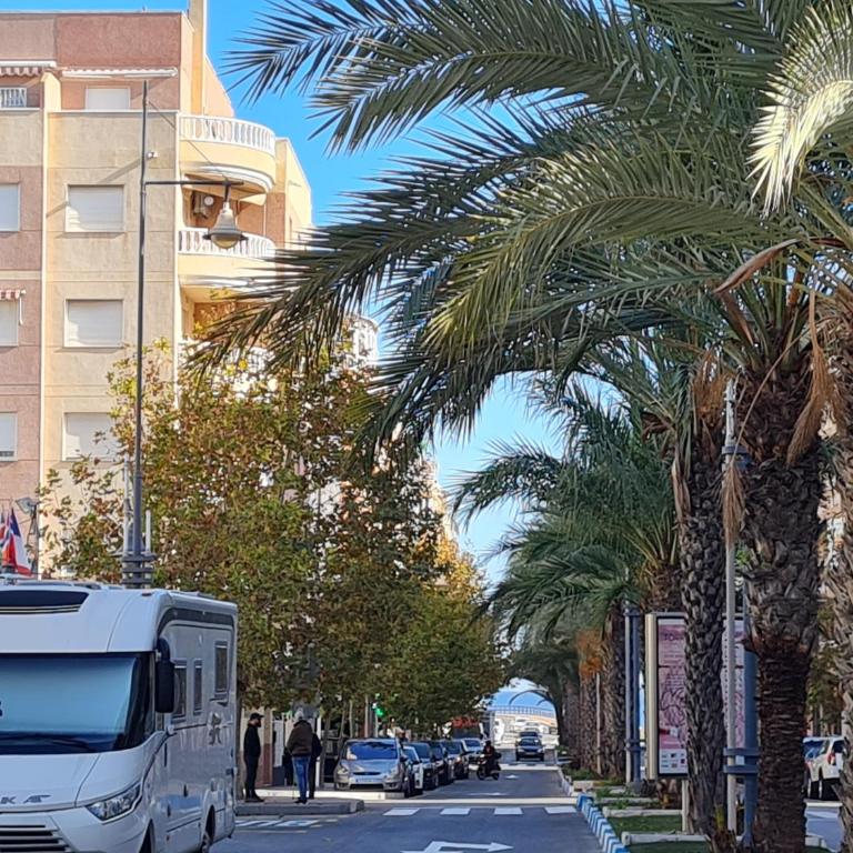 Apartments near Del Cura and Los Locos beaches - One-Bedroom Apartment - 6