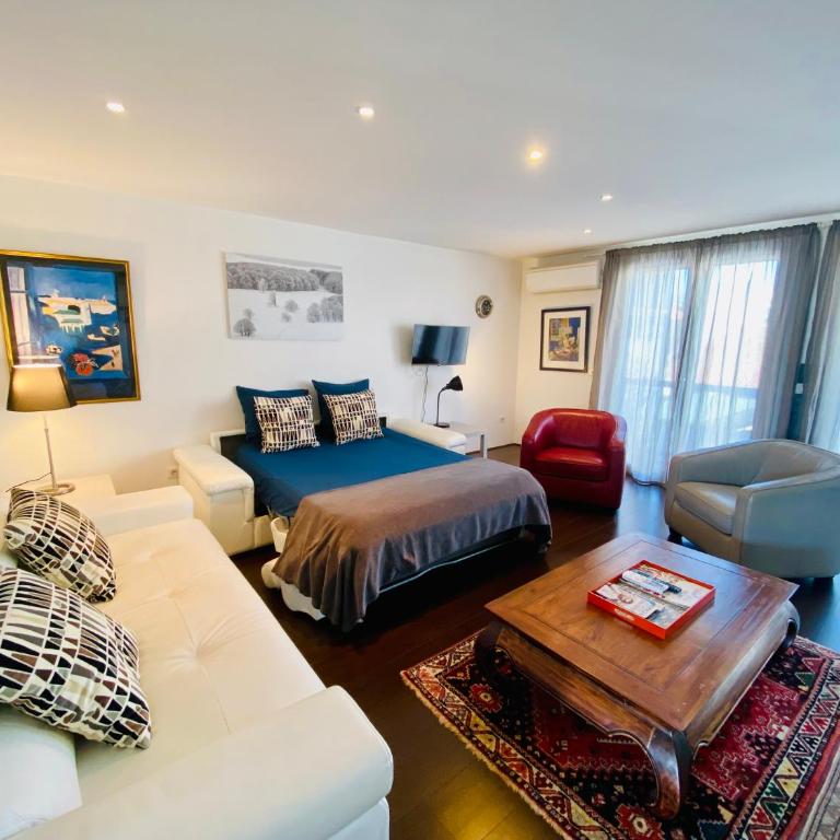 "Le Jardin" Superbe T2 Parking, Clim & terrasse ! - Appartement 1 Chambre - 21