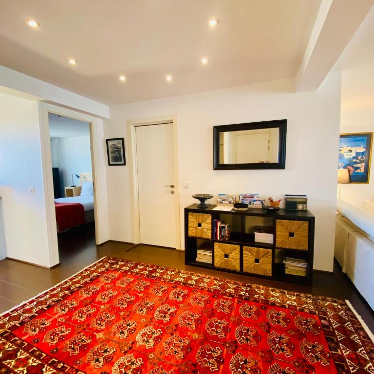 "Le Jardin" Superbe T2 Parking, Clim & terrasse ! - Appartement 1 Chambre - 18