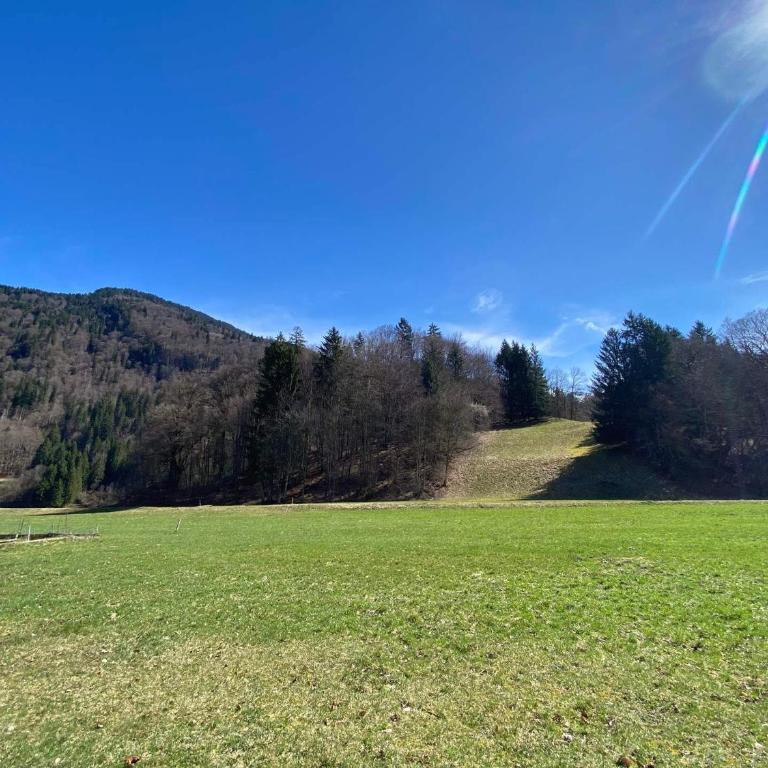 Chalet Savoyard À Samoëns Avec Cheminée Et WiFi - FR-1-624-80 - Chalet (11 Adultes) - 14