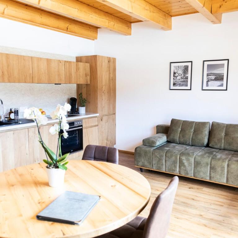 Gasthof Fischerwirt - Appartement 1 Chambre - 2