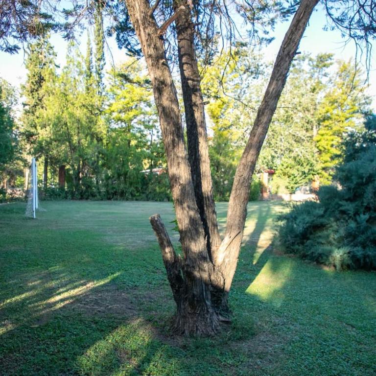 Casa BRACO - Three-Bedroom House - 50