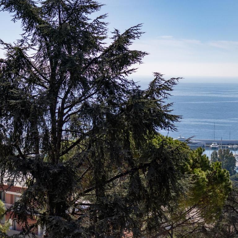 Lemon Tree Apartment - Garden, Sea View, Wifi - Appartamento con 1 Camera da Letto - 18