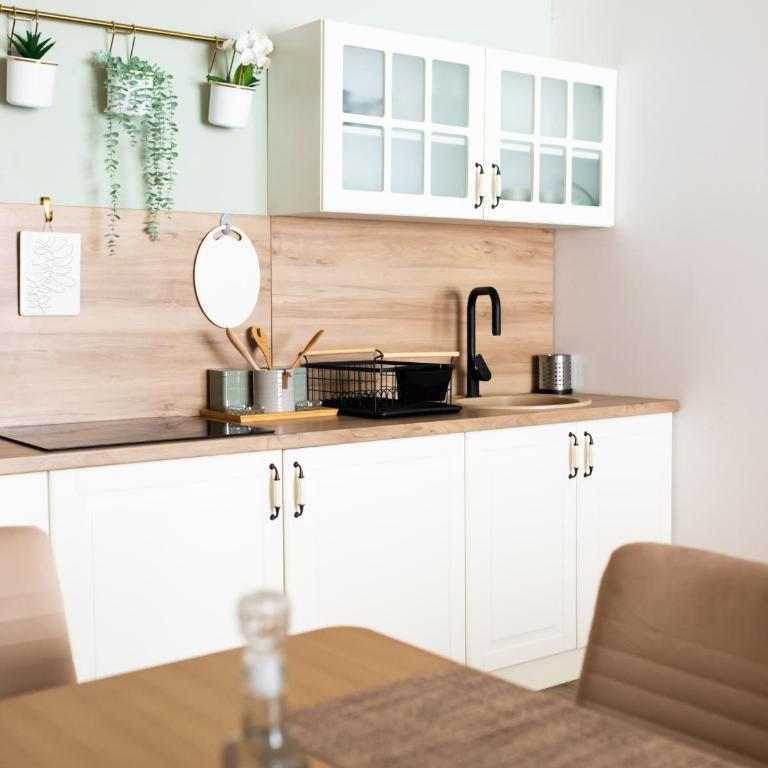 Tarvil Apartmani - Zaovine - Studio sa Terasom - 6