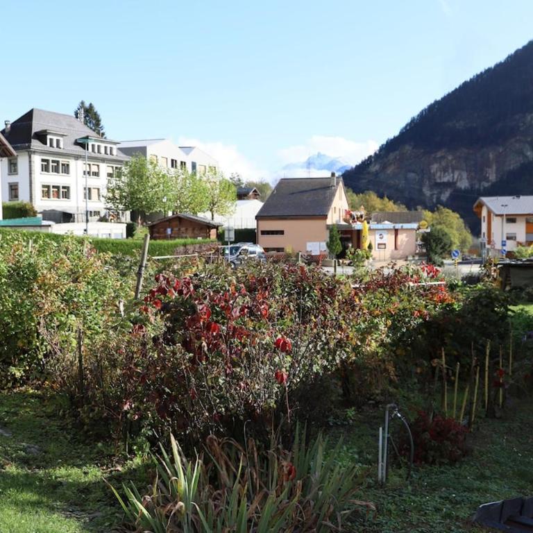Petit nid douillet au coeur de SalvanLes Marécottes - Apartment - 14