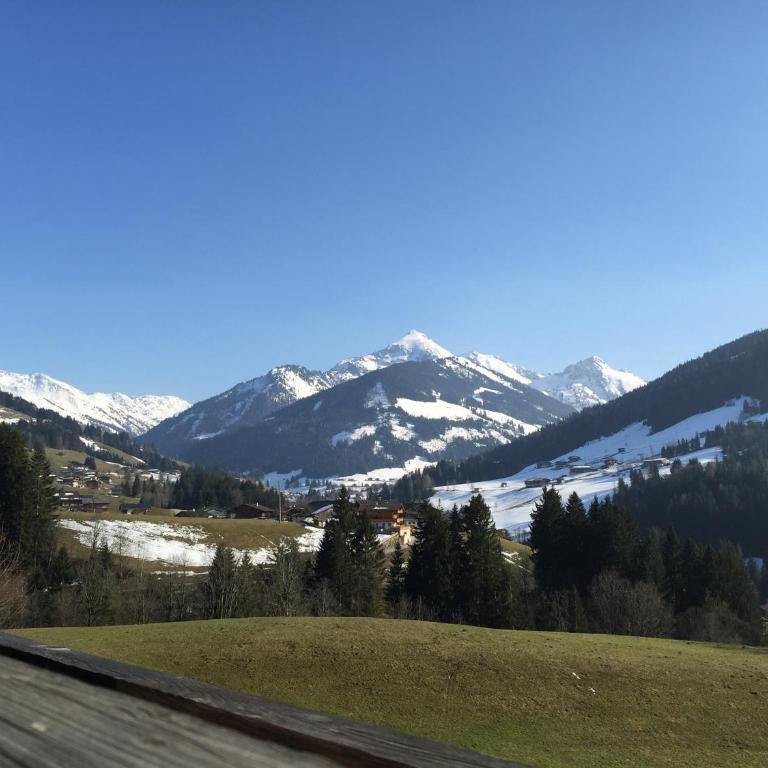 Das Alpbach Juwel - Superior Apartment mit Sauna - 22