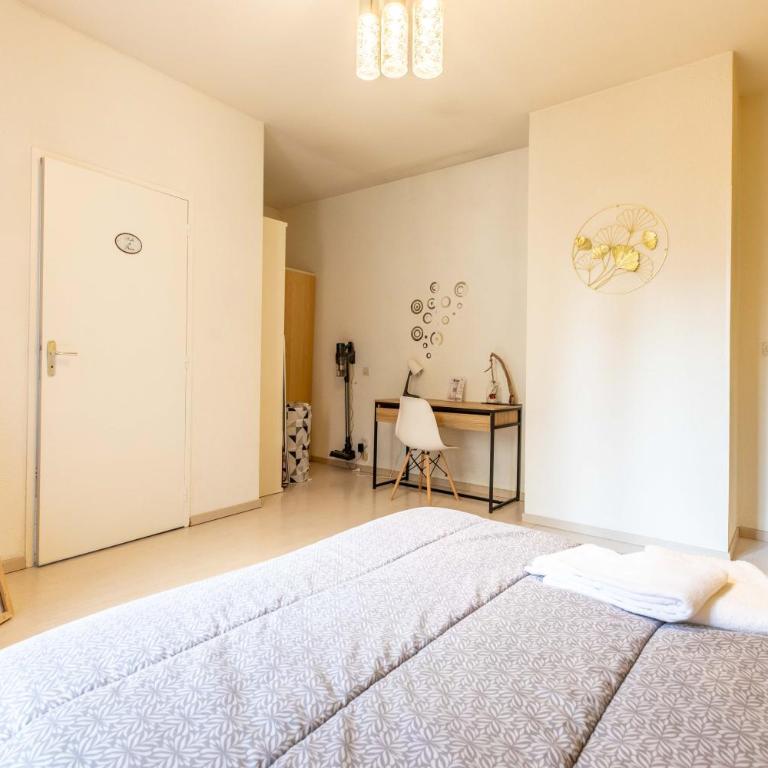 Lisboa F3 Centre-ville Clermont-Fd C - Appartement 2 Chambres - 11