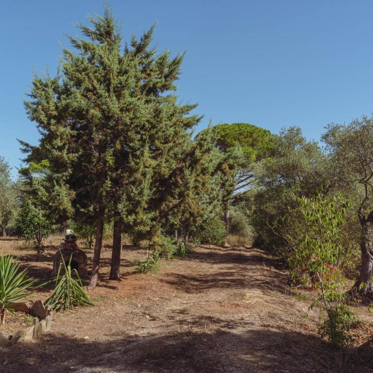Villa Sant'Anna - Villa - 48