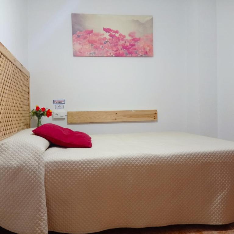 Hostal Buena Vista - Habitación Individual - 15