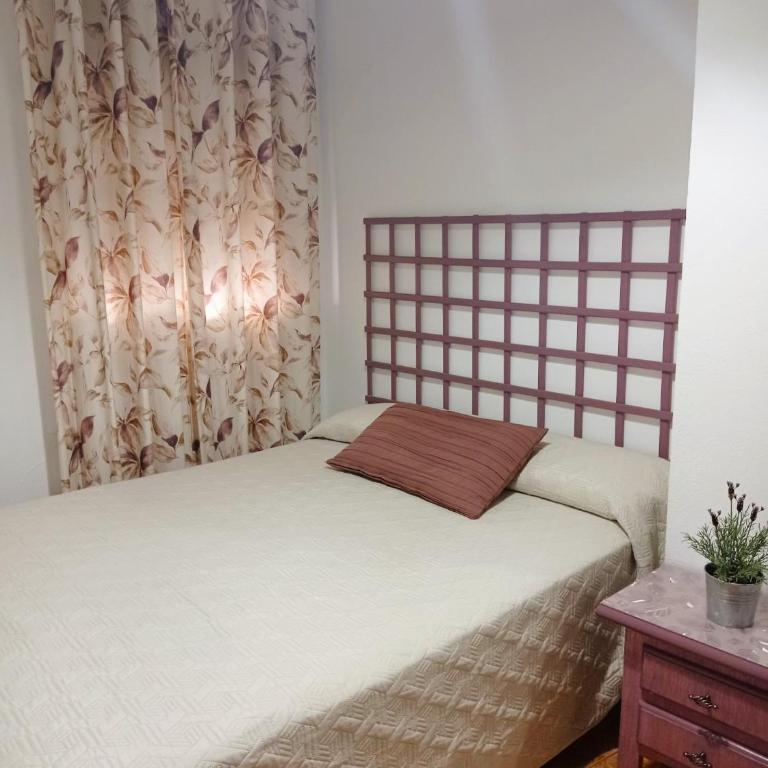 Hostal Buena Vista - Habitación Individual - 16
