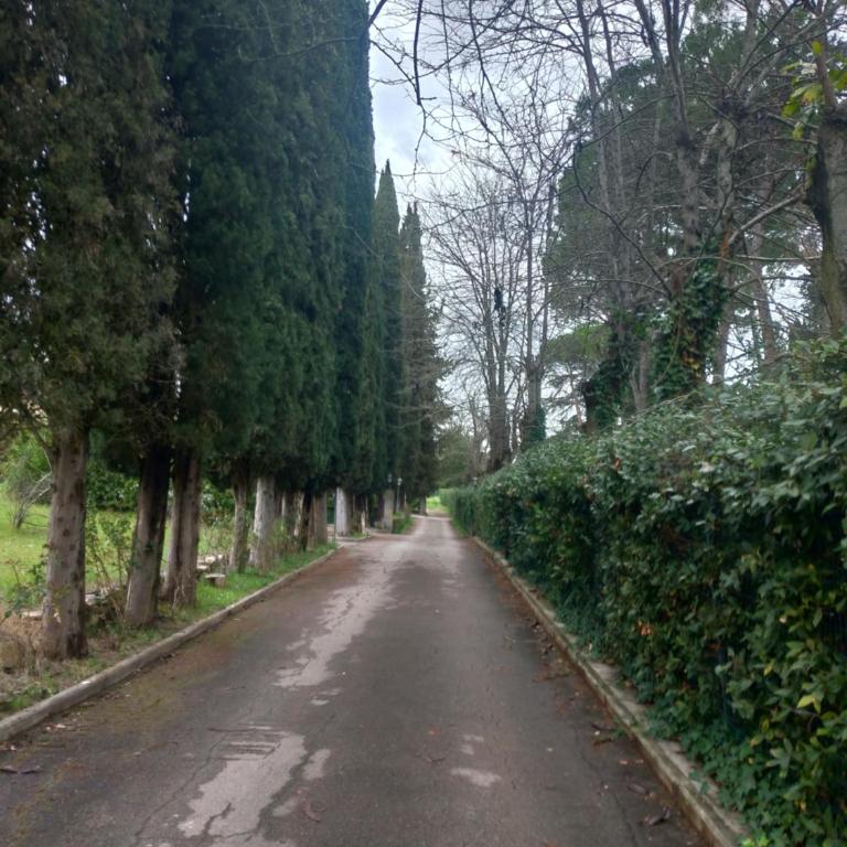 Poggio Gherardo - Appartamento con 2 Camere da Letto - 21