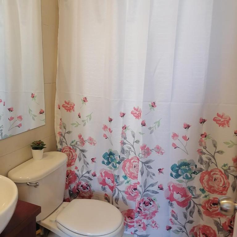 Departamento 703 - Apartamento de 1 dormitorio - 42