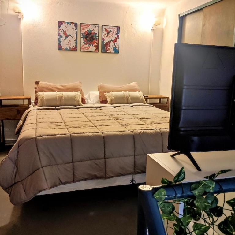 Calle del Aire - One-Bedroom Apartment - 2