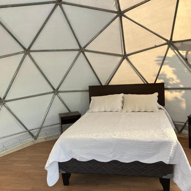 Glamping Viñas de Elqui - Tent - 2