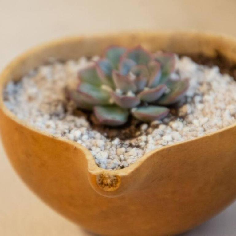 Departamento Rustico 1 - Apartamento de 2 dormitorios - 22