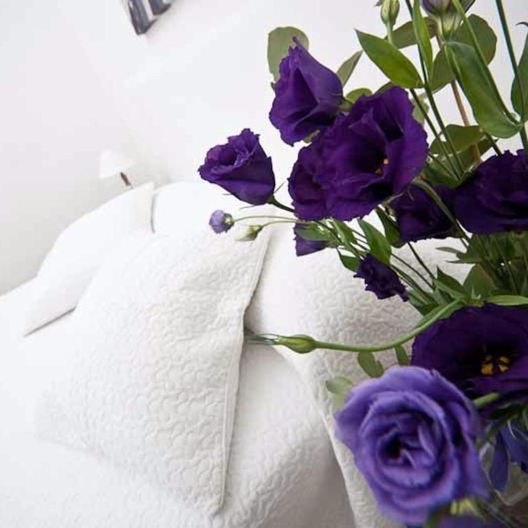 Comfortable apartment very close to the Vatican Free Wifi no123 - Appartamento - 1