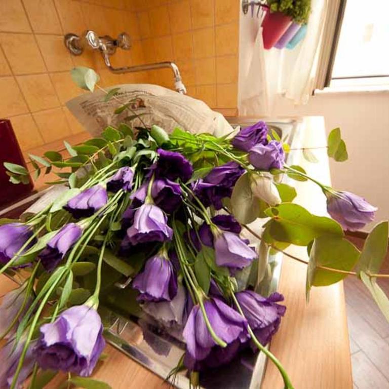 Comfortable apartment very close to the Vatican Free Wifi no123 - Appartamento - 14