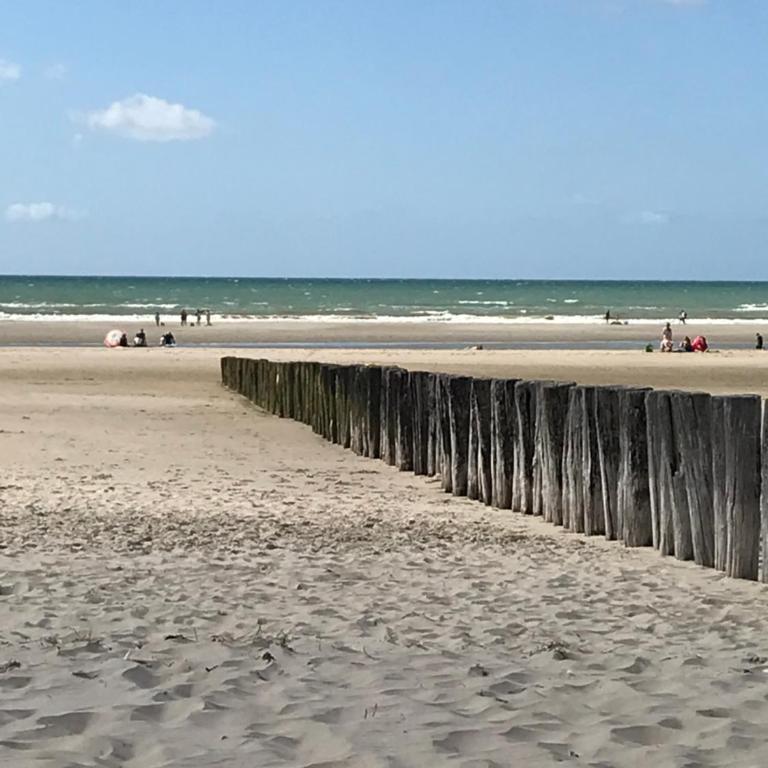 Logement cocooning 50 m de la plage - Appartement - 21