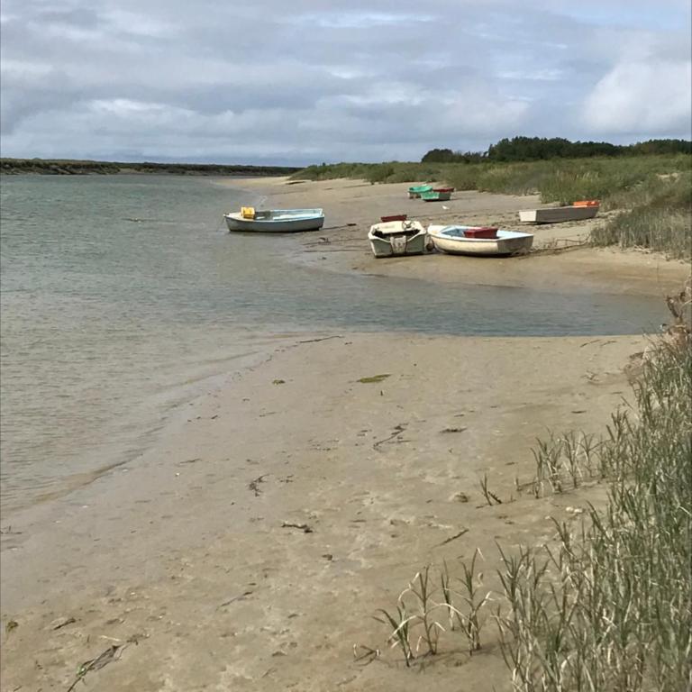Logement cocooning 50 m de la plage - Appartement - 29