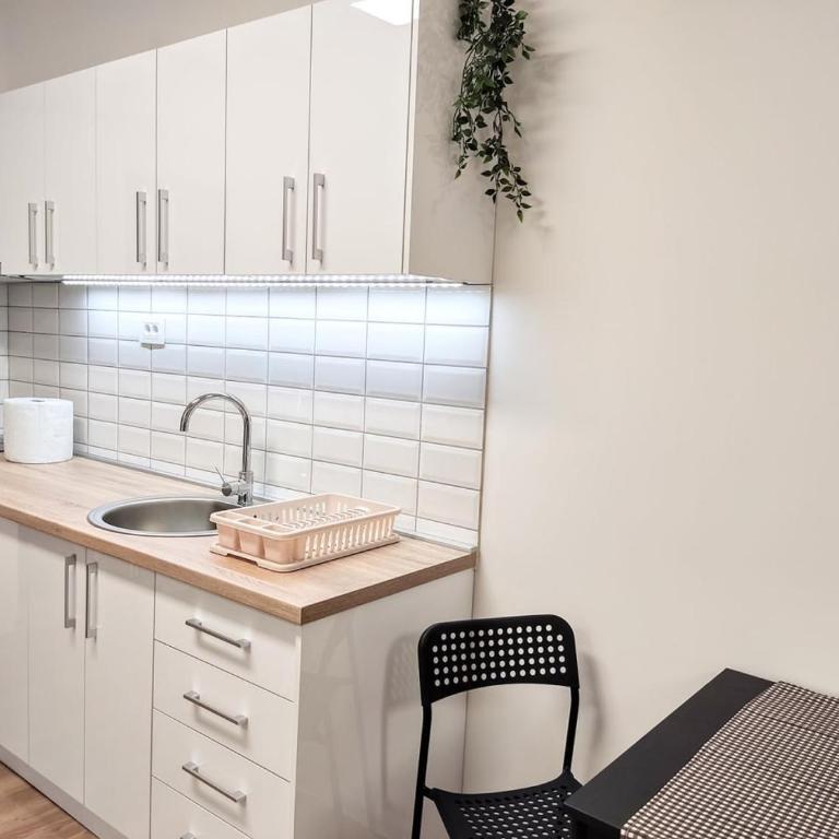 Zone Zarkovo - Apartman sa 1 Spavaćom Sobom - 10