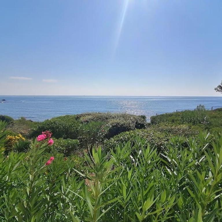 Le Nautile, résidence Les Corailleurs, duplex surplombant la mer, 6 pers - Appartement 3 Chambres - 2