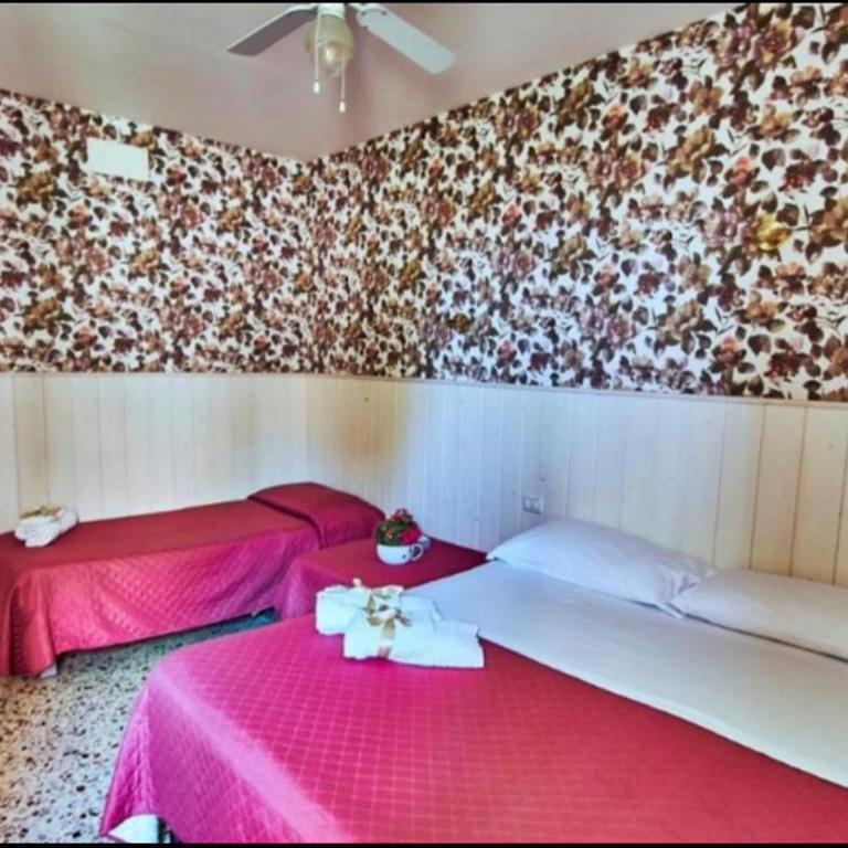 Castello - Camera Familiare con Bagno Privato - 8