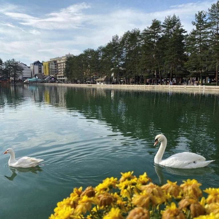 Bellevue Apartman na jezeru u samom centru Zlatibora ,terasa sa pogledom - Two-Bedroom Apartment - 6